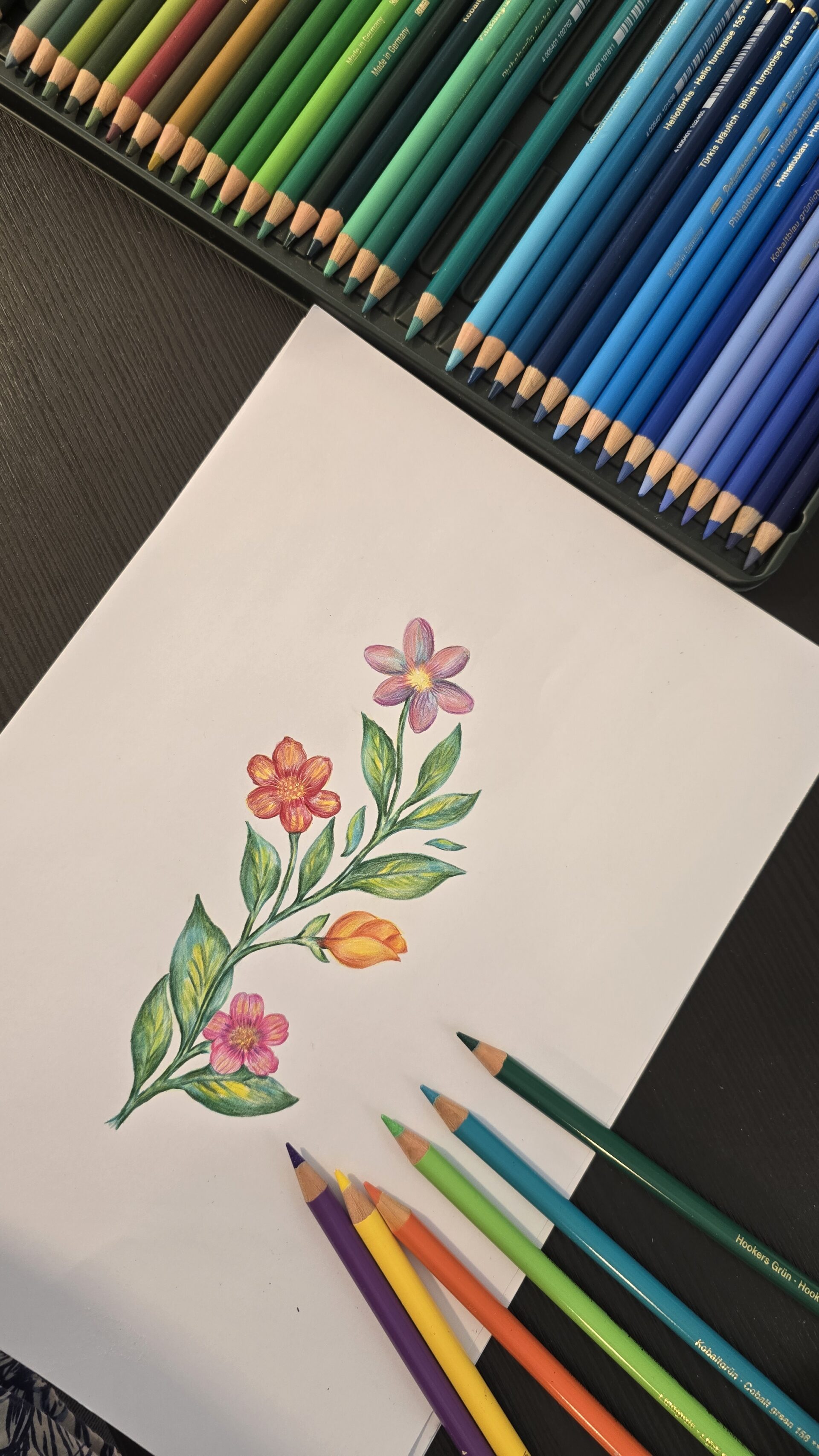 Farbstiftillustration – Erstellt für das Verpackungsdesign-Projekt von Natural Way